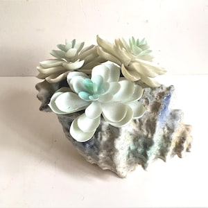 May include: A decorative seashell planter featuring a textured, multi-coloured exterior with shades of blue, grey, and cream. The shell holds three artificial succulent plants with pale green and white rounded leaves arranged in a cluster.