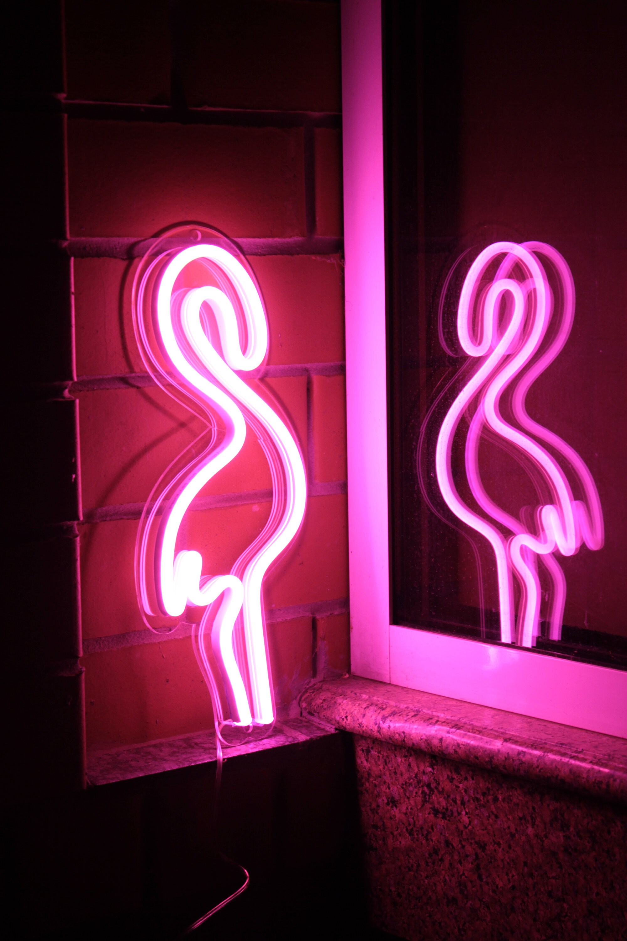 Rosa Flamingo Neon Schild. Hot Pink Custom Neon Schild für | Etsy