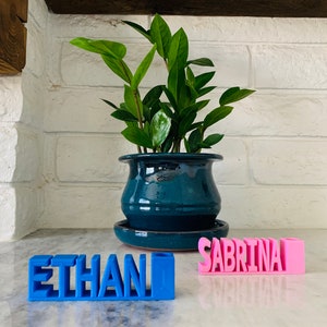 Personalized Name Plate Pen Holder | Desktop Pen Holder | Teacher Gift | Toothbrush Holder