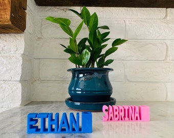Soporte de pluma de placa de nombre personalizado / Soporte de bolígrafo de escritorio / Regalo del maestro / Soporte de cepillo de dientes