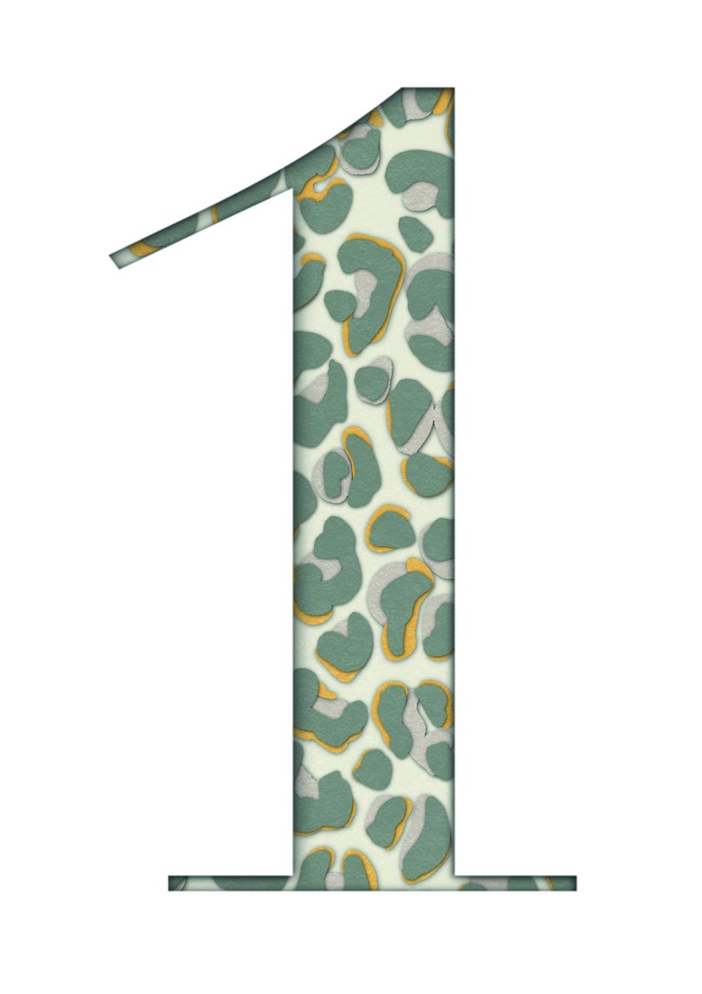 1st Birthday Card Leopard Print