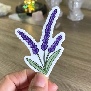 Lavender Plant Sticker, Floral Sticker, Calm Stickers, Nature Sticker, Floral Die Cut Decal, Vinyl Sticker, Wildflower Gift, Journal Sticker