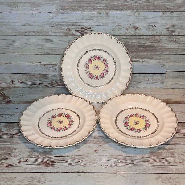 Vanity Fair Plates Etsy