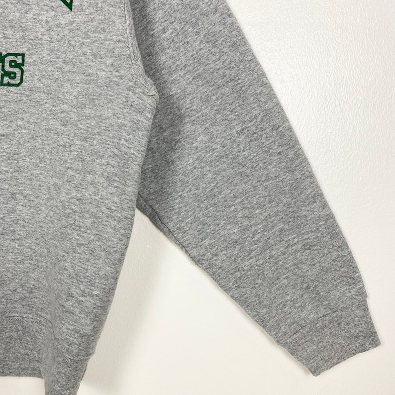 Ansteckende Krankheit Fuchs Hinweis Spartan Pullover Gallone Eindruck