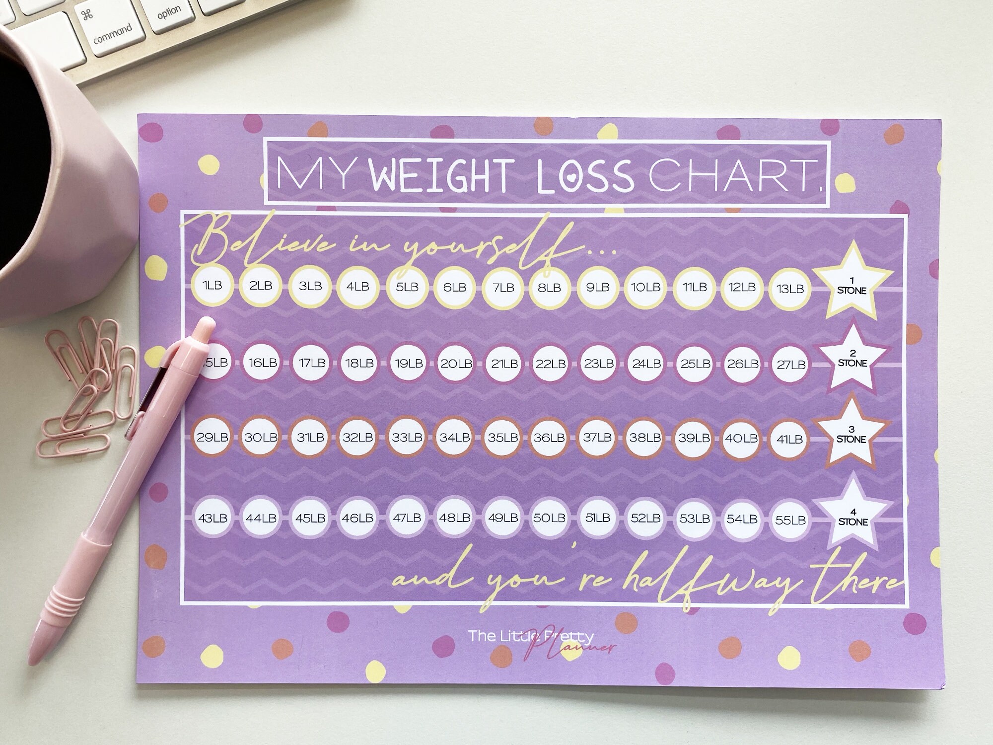2/4/6/7 Stone Weight Loss Chart/Tracker | Etsy