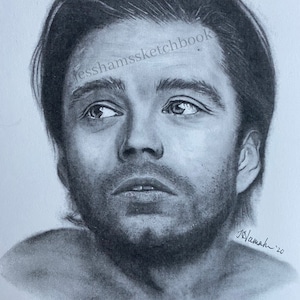 sebastian stan print