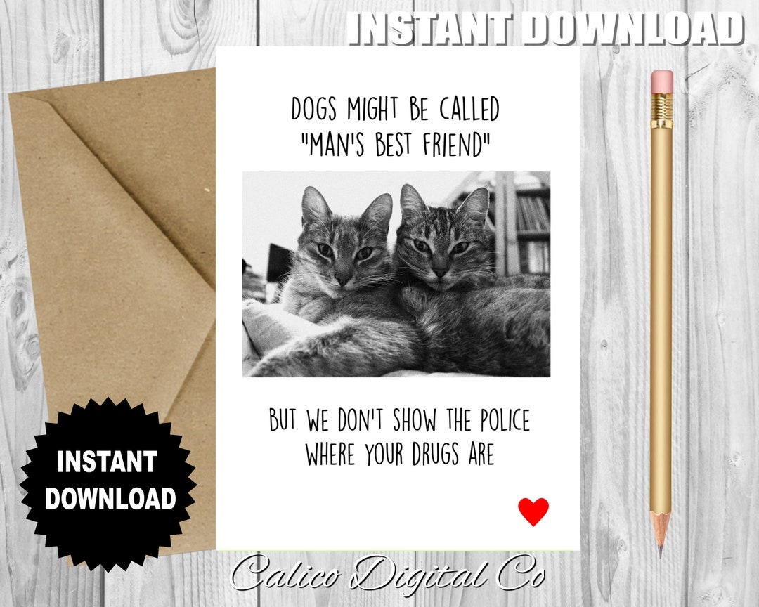 Funny CATS Card INSPIRATIONAL Birthday Card Printable Card - Etsy