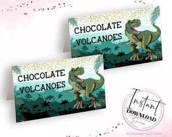 Dinosaur Labels, Dinosaur Place Cards, Dinosaur Name Labels, Dinosaur Tent Cards