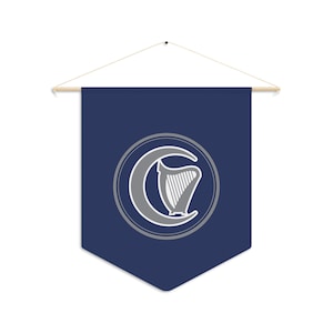 May include: A blue pennant banner with a white harp inside a gray circle with a crescent moon. The harp is a symbol of Ireland.