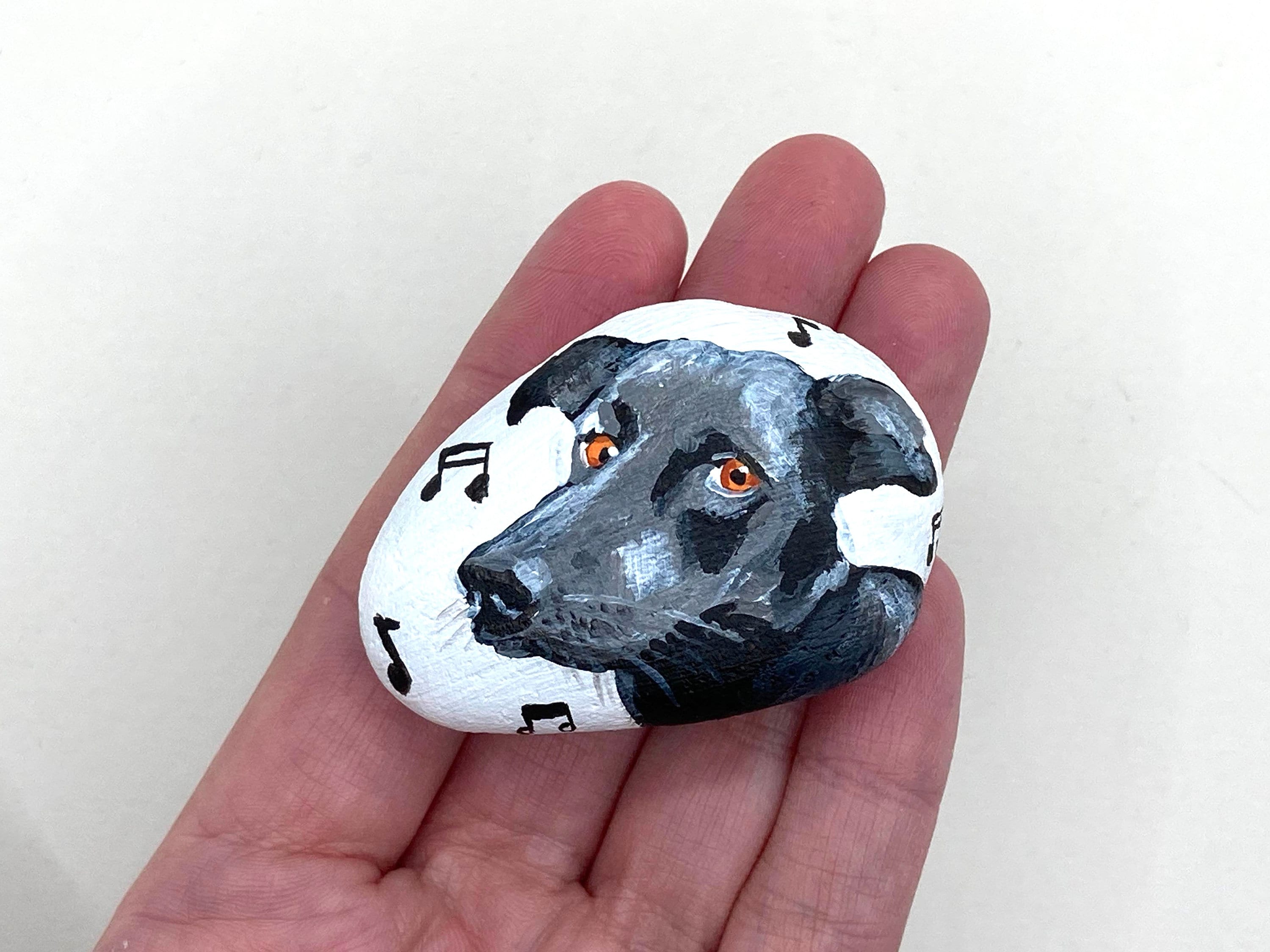Okay so I got a rock and painted a face, is this how you get a pet