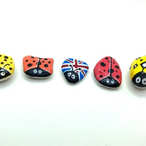 5 Ladybird Rocks - Stones Rocks for the Garden - Garden Decor - Indoor Decor - Acrylic Rocks - Fairy Garden Ideas - Decorate your Garden