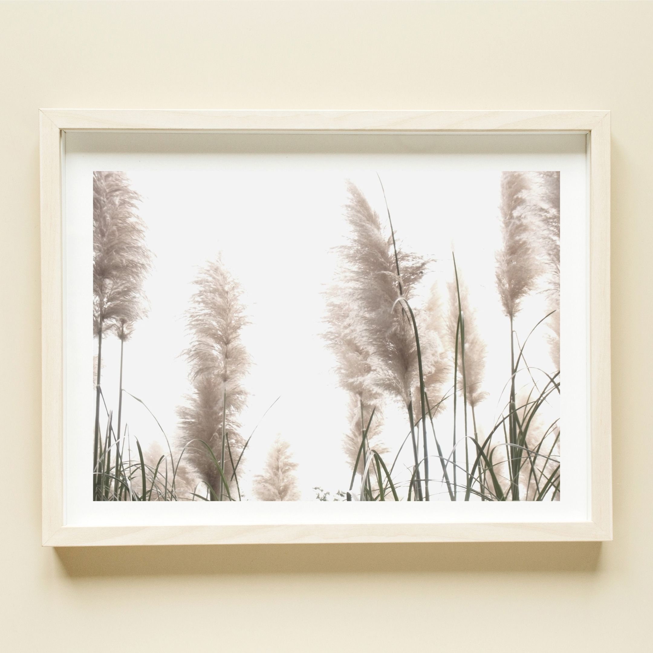 Pampas Grass 1 Downloadable Digital Art Print Boho Wall Art Etsy UK