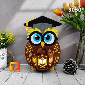 Lanterna gufo per laurea, lampada da taglio su carta, scatola delle ombre 3D, modello per scatola luminosa, scatola luminosa in formato SVG fai da te, cricut 3050B
