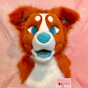 Może przedstawiać: Żywa pomarańczowo-biała głowa fursuit psa z niebieskimi oczami i niebieskim nosem. Fursuit ma przyjazny wyraz twarzy z otwartymi ustami. Uszy są pomarańczowe i puszyste. Mała wizytówka jest widoczna na dole.