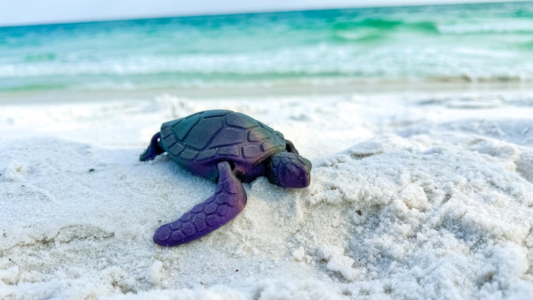 Personalized Articulated 3D Printed Sea Turtle - Etsy
