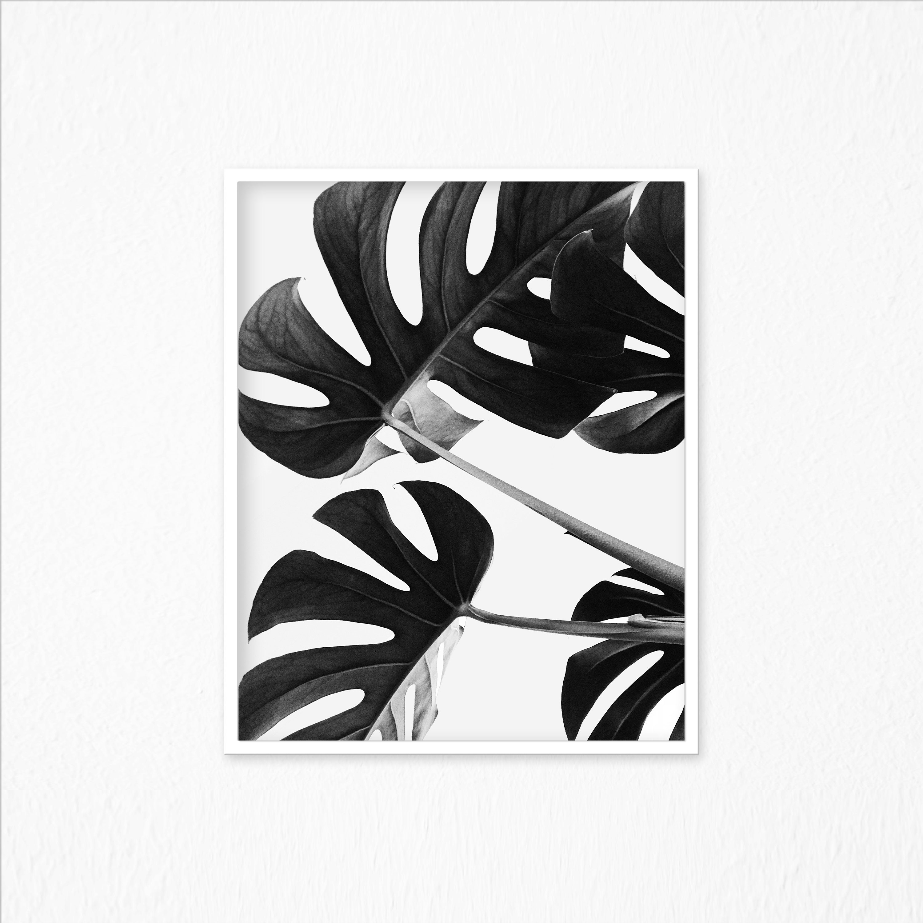 Plant Print Wall Art Photo Art Photo Modern Minimal Etsy