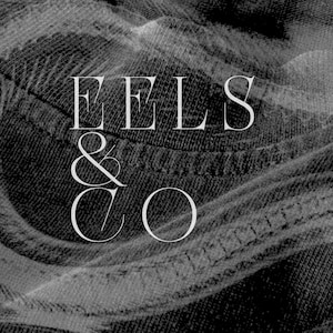 Puede incluir: Imagen en blanco y negro con el texto "EELS & CO" en una fuente serif. El fondo es una tela oscura texturizada, posiblemente mezclilla, con costuras visibles. La est&eacute;tica general es minimalista y moderna.