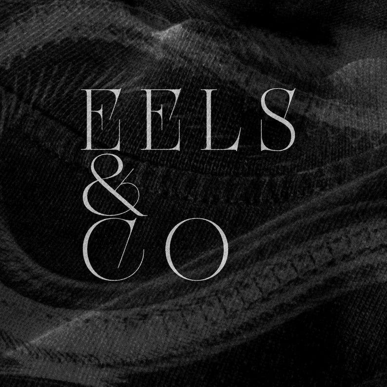 Puede incluir: Imagen en blanco y negro con el texto "EELS & CO" en una fuente serif. El fondo es una tela oscura texturizada, posiblemente mezclilla, con costuras visibles. La est&eacute;tica general es minimalista y moderna.