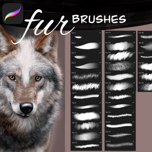 30 Pinceles de piel Procreate - Pinceles de pelo de animales para Procreate - Pinceles de animales IPad - Pinceles de texturas Procreate