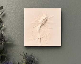 Cardo, relieve en yeso