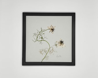 Nigella, manto de la dama, herbario, marco de fotos con flores prensadas, cuadro de flores, flor seca