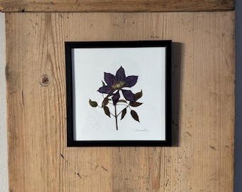 Clemátide, herbario, marco de fotos con flores prensadas, cuadro de flores, flor seca