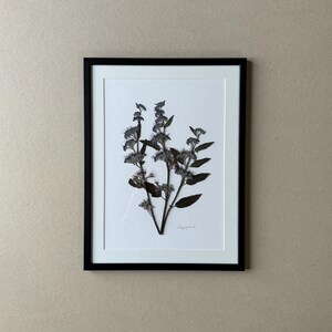 Bearded Iris, Herbarium, Picture Frame with Pressed, Real Flower, Passepartout, Flower Picture, Dried Flower