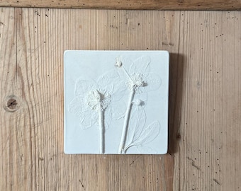 Rosa de Navidad, relieve en yeso