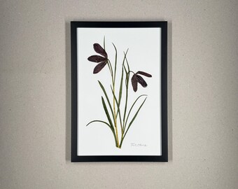 Fritillaria, herbario, marco de fotos con flores prensadas, cuadro de flores, flor seca
