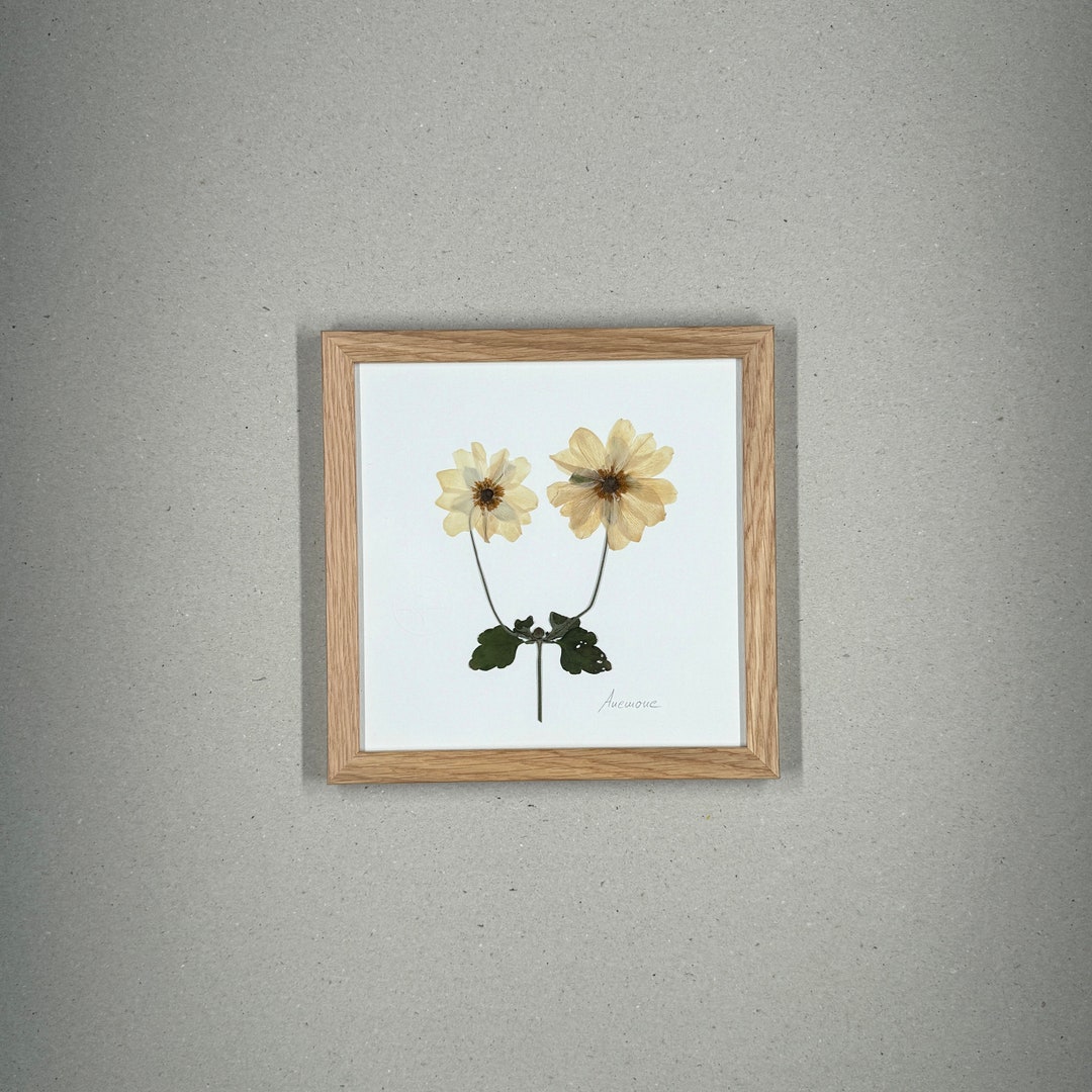 Display Case Wall Art Frame Cornice Per Foto Fiori Secchi Del Fiore