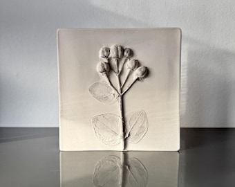 Hierba de San Juan, relieve en yeso, azulejo