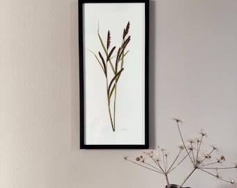 Juncia, herbario, marco de fotos con flores prensadas y reales, cuadro de flores, flores secas