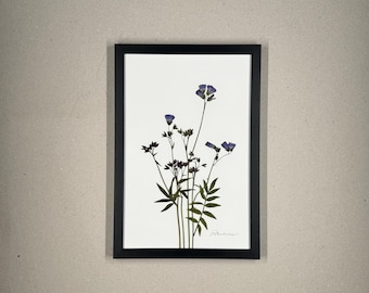 Escalera azul al cielo, herbario, marco de fotos con flores prensadas, cuadro de flores, flor seca, único