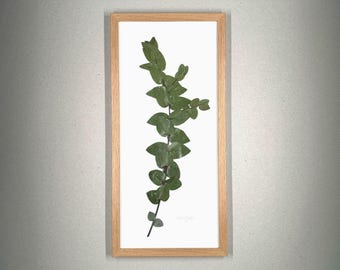 Eucalipto, herbario, marco de fotos con flores prensadas y reales, cuadro de flores, flores secas