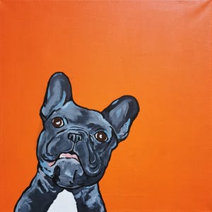 Buldog francuski. Niebieski buldog francuski. Sztuka australijska. Malarstwo akrylowe psa. Zabawna sztuka. Kolorowa sztuka. Sztuka psa. Pomarańczowe tło
