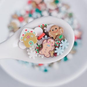 Clay Sprinkles | Gingerbread Holiday Mix