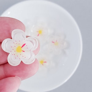 Op de afbeelding: Vijf witte suikerbloemen met roze en gele accenten op een wit bord. De bloemen zijn delicaat en doorschijnend.