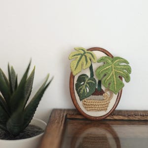 Può includere: Un arazzo da parete ricamato di forma ovale con una pianta di Monstera in vaso con grandi foglie verdi. La pianta è in un cestino intrecciato, su sfondo crema, incorniciato da un bordo in legno. Una pianta succulenta verde è in un vaso bianco.