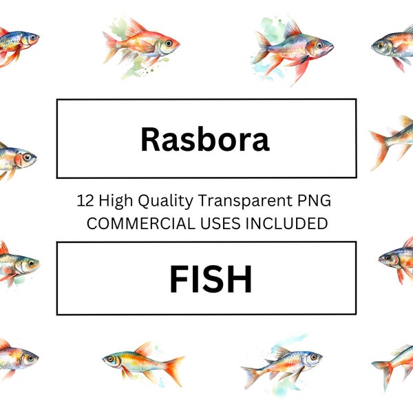 Beautiful Rasbora Fish Clip Art, Watercolor Fish Illustration - Perfect for Print Media, Wall Art, Canvas Art, Wall Decoration, Mug Print