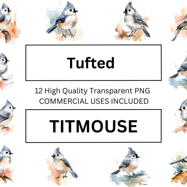 Tufted Titmouse Clipart, Watercolor Bird  Illustration - High Quality Download for POD Selling, T-shirt Printing.