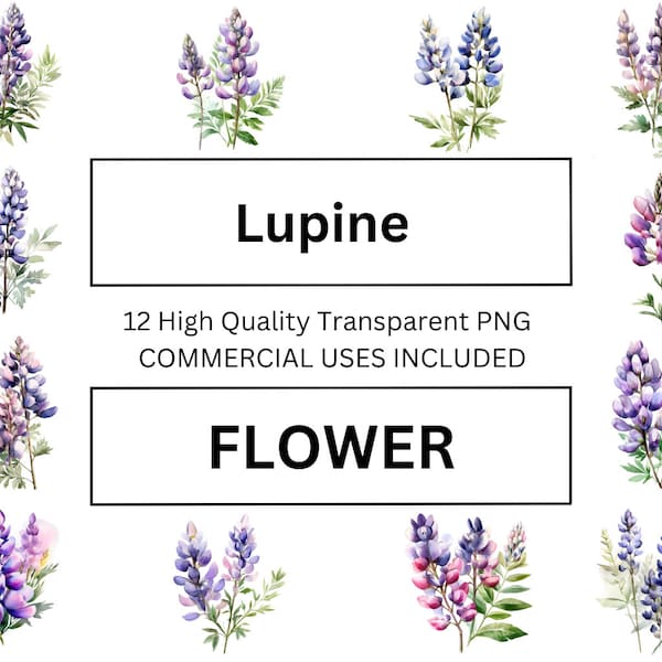 Vibrant Lupin Flower Clip Art, Aquarelle Floral Illustration - Téléchargement de haute qualité pour les médias imprimés, Art mural, Téléchargement imprimable.