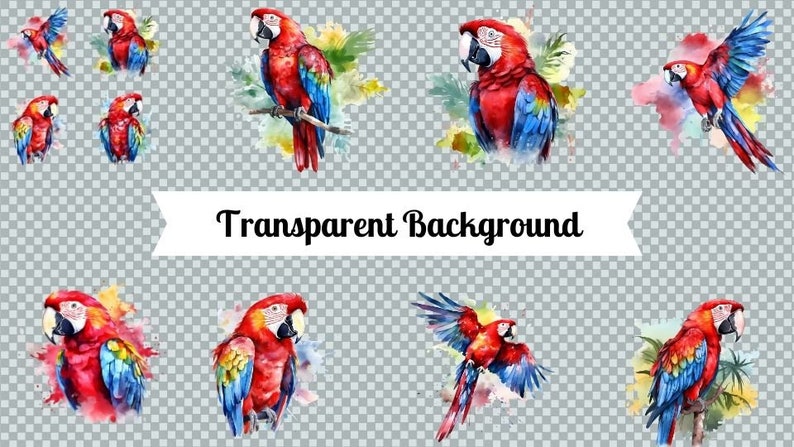 Scarlet Macaw Clipart, Watercolor Endangered Scarlet Macaw Bird Clipart Printable Images for ...
