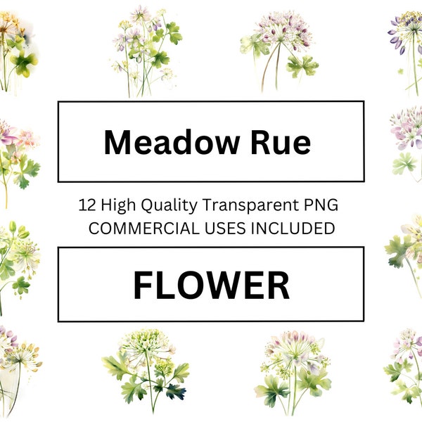 Pleasant Meadow Rue  Flower Clip Art, Watercolor Floral Illustration - Perfect for Card Making, Mugs, T-Shirts, Cushions, Paper Crafts.