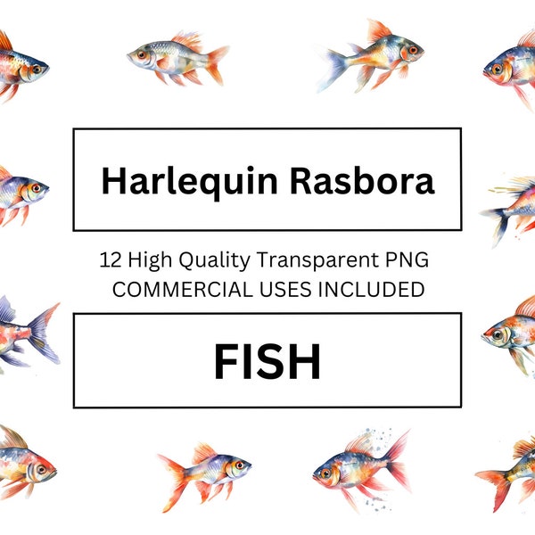 Enchanting Harlequin Rasbora Clip Art, Watercolor Fish Illustration - High Quality Download for Print Media, Wall Art, Canvas Art.