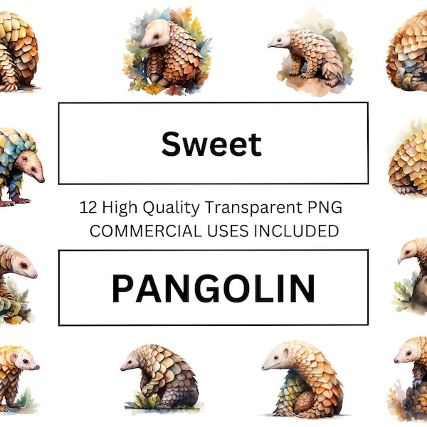 Pangolin Clipart, Watercolor Animal Illustration - High Quality Download for POD Selling, T-shirt Printing Perfect for Print Media.