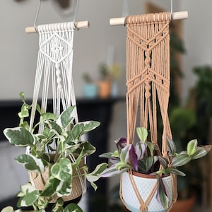 Puede incluir: Dos colgadores de plantas de macramé, uno blanco y otro marrón claro, cada uno con una planta en maceta. El colgador blanco tiene un patrón de diamantes, mientras que el marrón claro tiene un diseño más intrincado. Las plantas tienen hojas verdes y blancas.