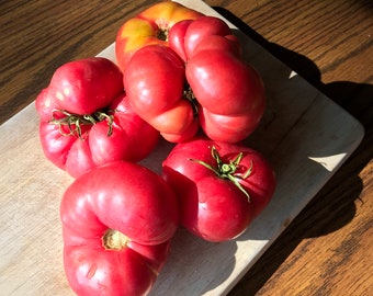Mortgage Lifter Tomato - Organic - Heirloom - 20 Seeds