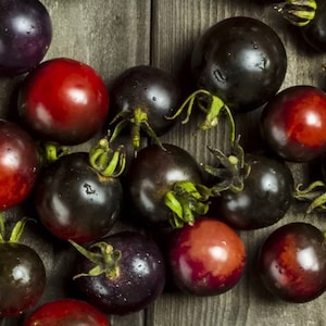 Blue Berries Cherry Tomato - Heirloom - Organic - 20 Seeds