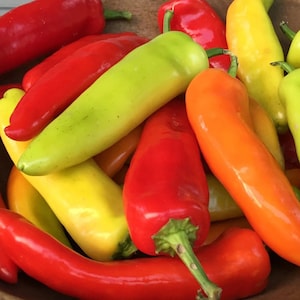Hungarian Sweet Wax Pepper - 20 Seeds