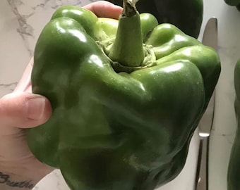 Jumbo Green Bell Pepper - Organic - 20 Seeds